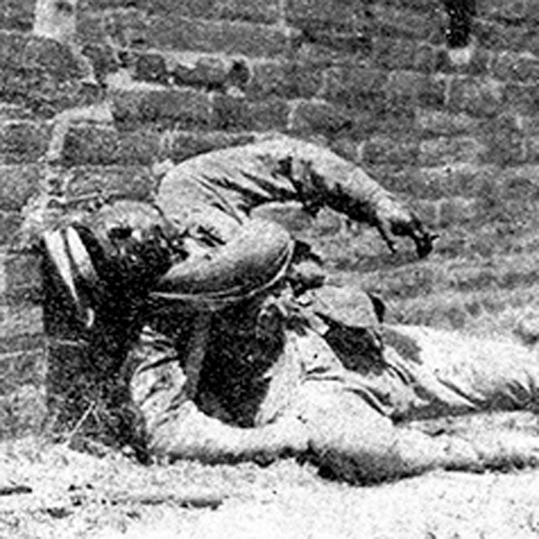 beifa3_thumbnaill_238x238_v1