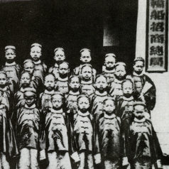 yangwu2_thumbnail_v2