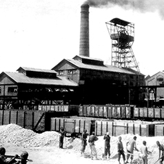 yangwu4_thumbnail_v2