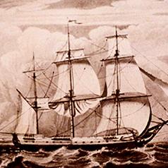 yapian1_thumbnail_238x238_v1